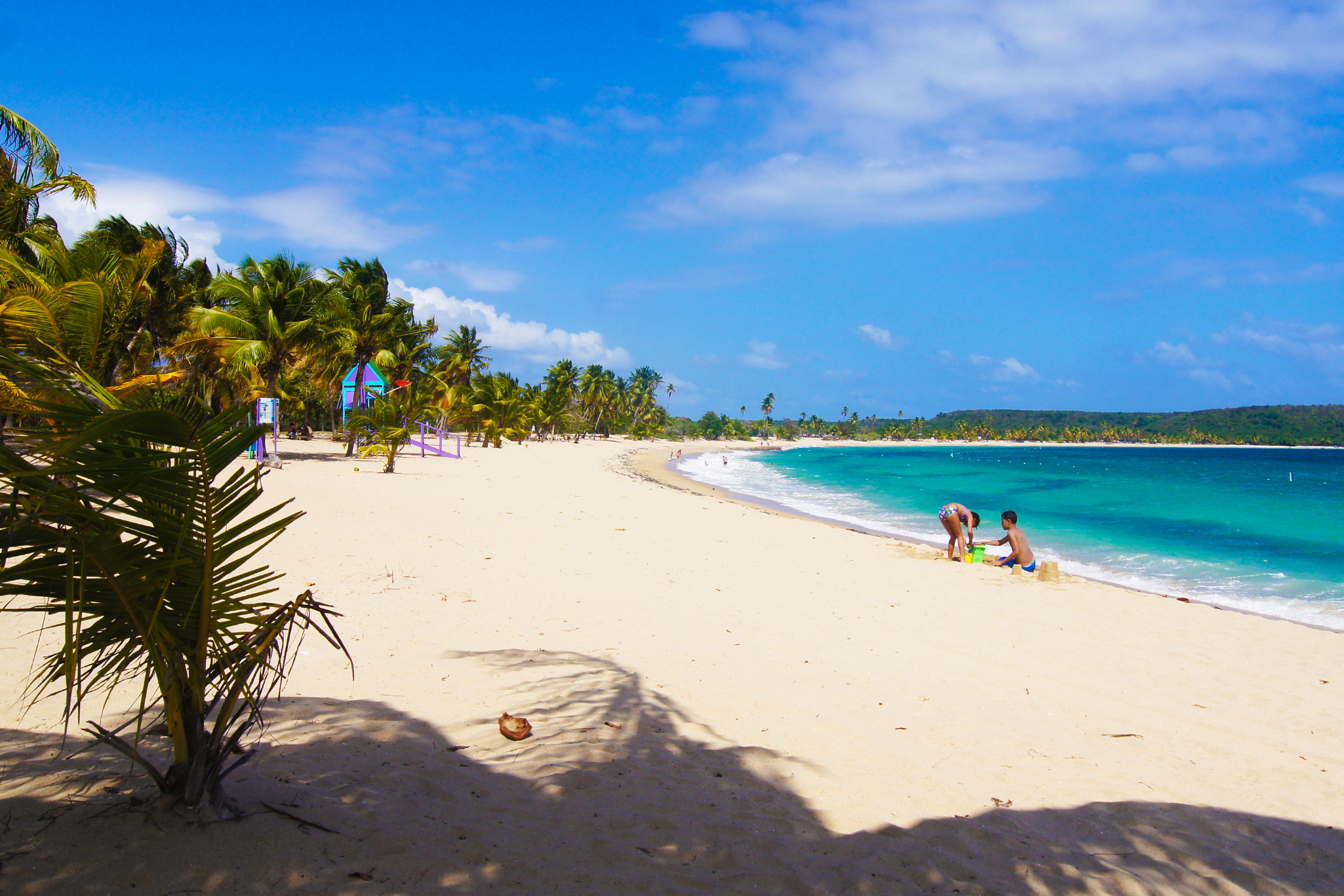 Playa De Sun Bay Vieques Puerto Rico.