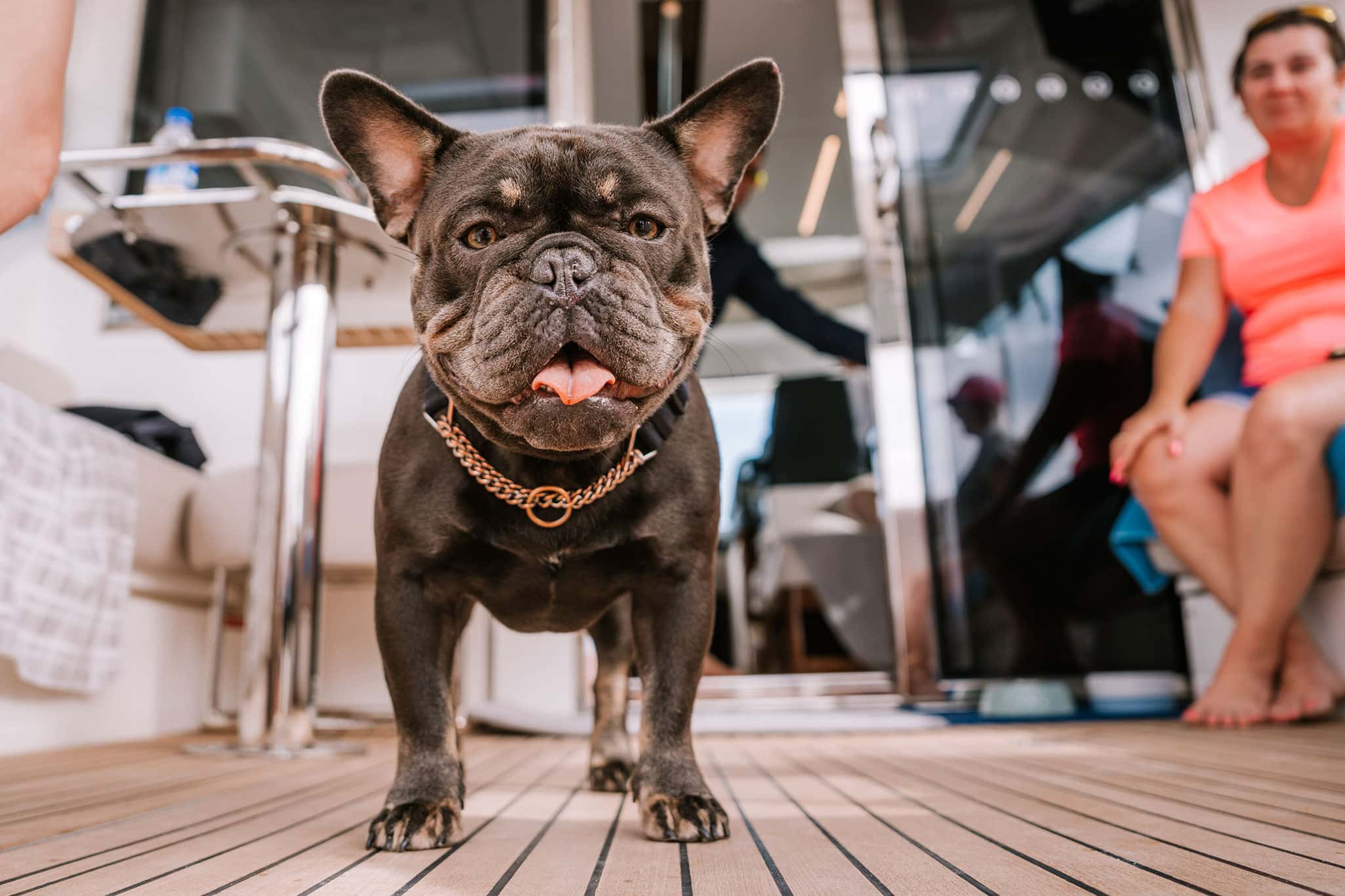 The Riviera family also includes many loved pets who enjoy cruising aboard a Riviera motor yacht as much as their owners do.