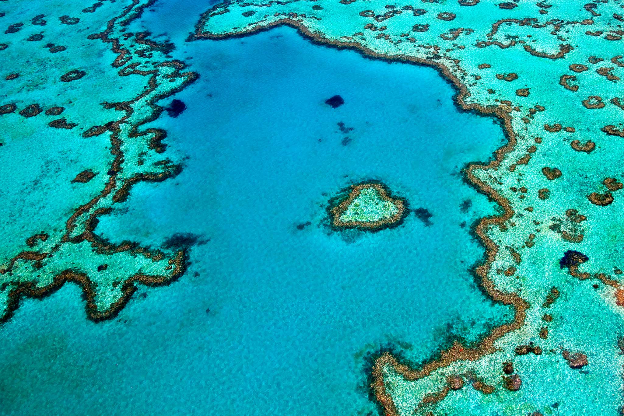 Heart Reef is an internationally recognised attraction of The Whitsundays.