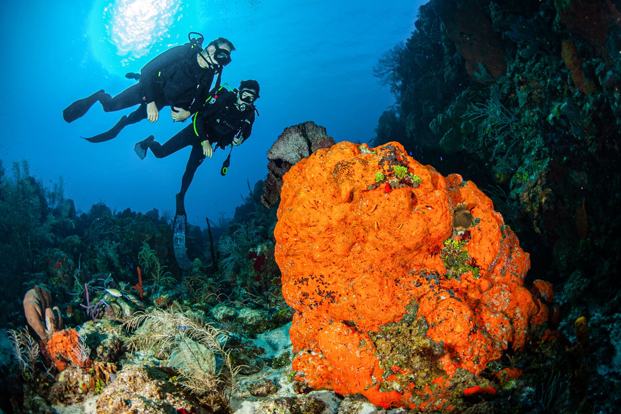 The Cayman Islands waters in the Caribbean are an explorer’s paradise for scuba divers and snorkellers alike