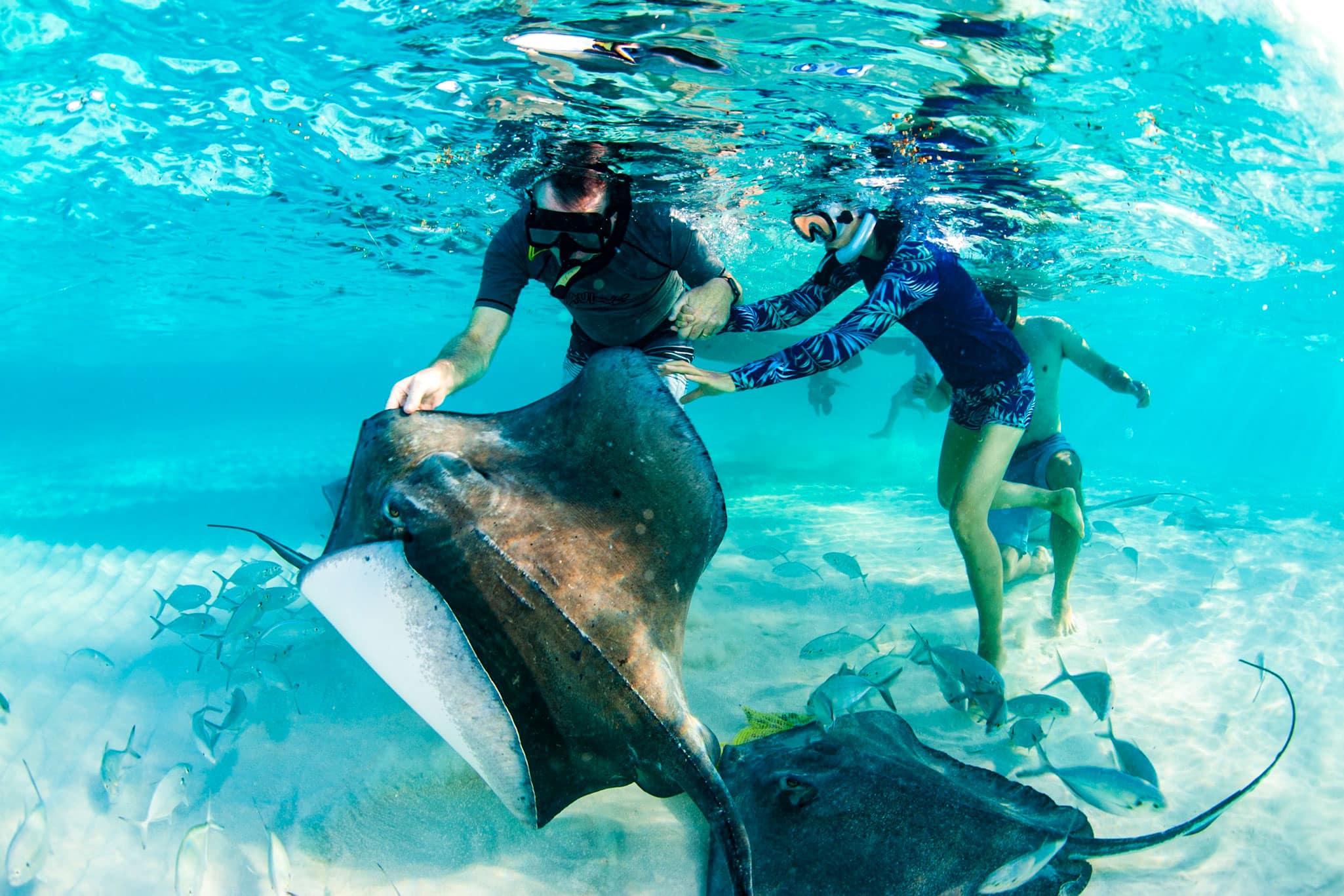 The Cayman Islands waters in the Caribbean are an explorer’s paradise for scuba divers and snorkellers alike