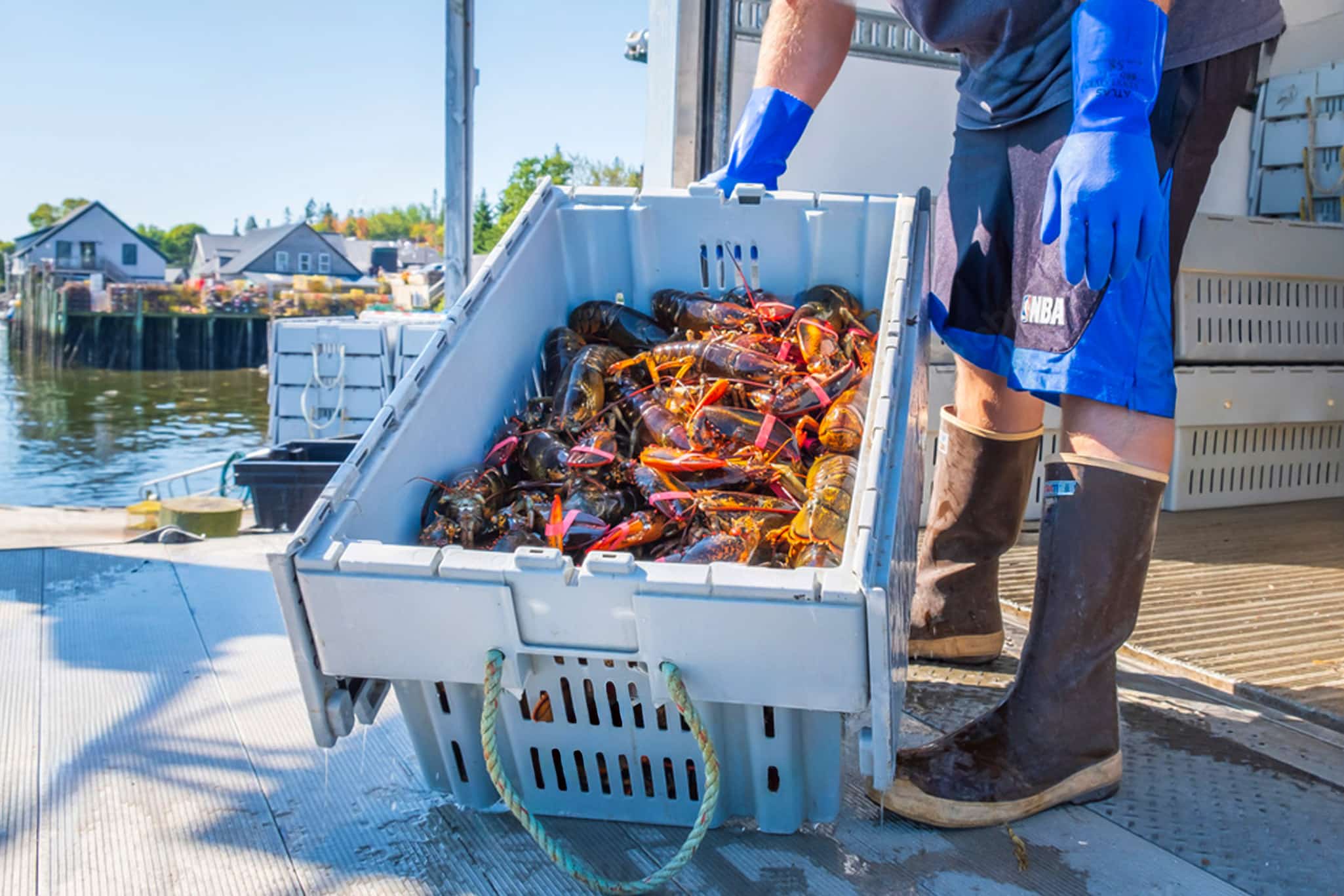 The seafood in this part of the world is not only plentiful, but it also tastes superb.
