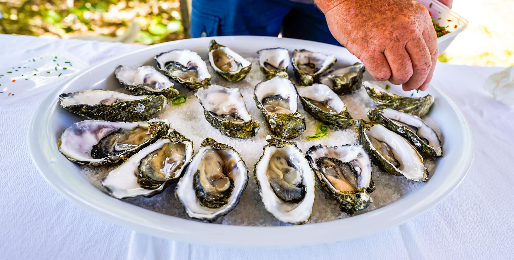 A few hundred oysters, put on by the team after the Q&A session, were very welcome