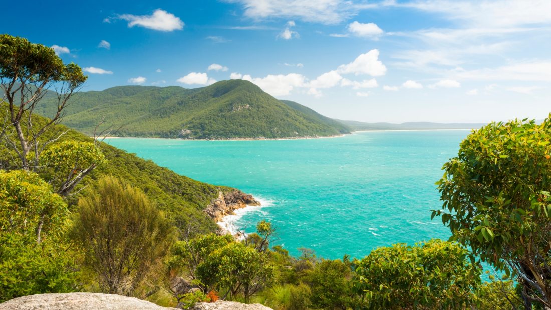 ENews Story – Refuge Cove