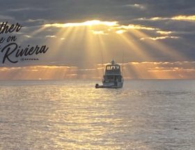 New-featured-47-sunrise-2-v2