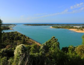 Paynesville