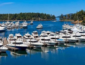 Roche Harbour Story